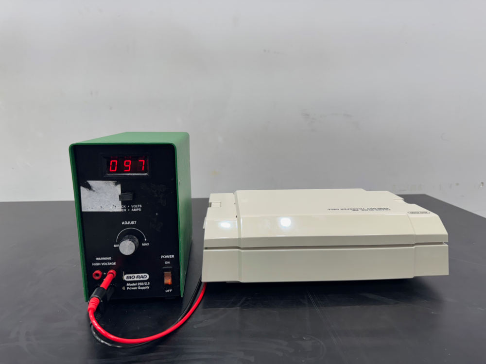 Image of Bio-Rad Trans-Blot SD Transfer Cell
